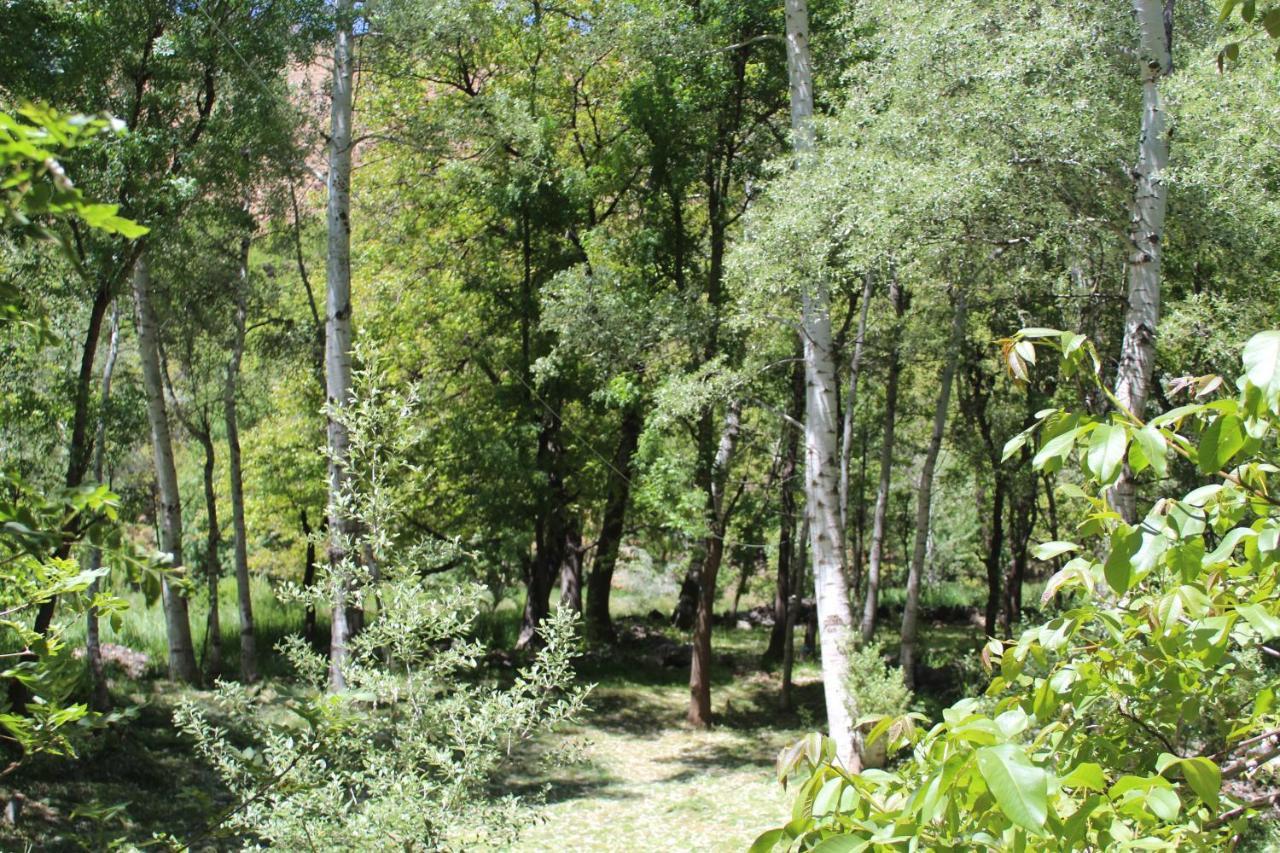 Auberge Toubkal Amsouzart Aitst Idar Tizgui Kültér fotó